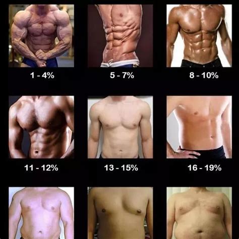 男女体脂率对照表，快来测测你的体脂！-搜狐体育