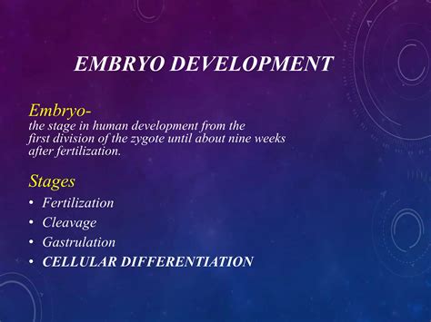 Image result for Third Week Development of Embryo