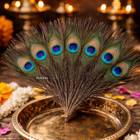 Sacred Mayilpeeli Set of 7 (Peacock Feathers) for Pooja & Krishna Wors ...