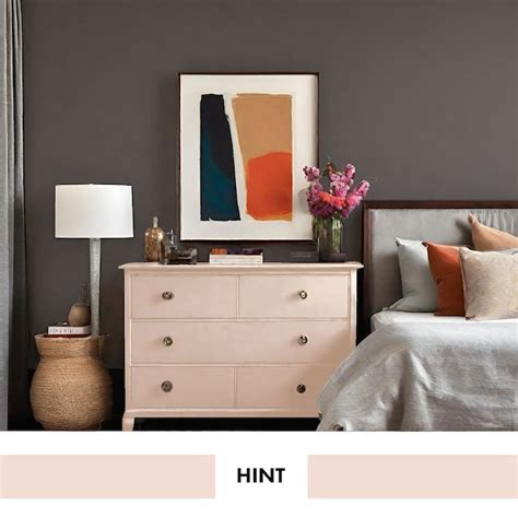 Color Baggage Project Paint Indoor Satin Hint Cabinet and Furniture ...