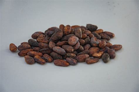 En 7 municipios del Huila inicia ejecución del proyecto de ...