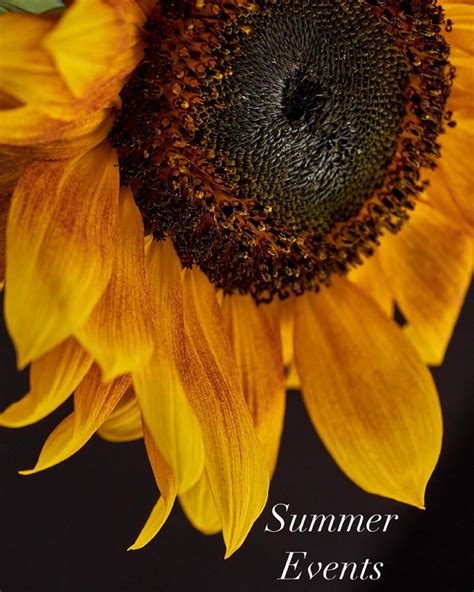 contact — orcas island winery