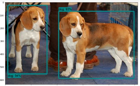 Image result for Training a Model for Image Detection Using XML and Tensorflow