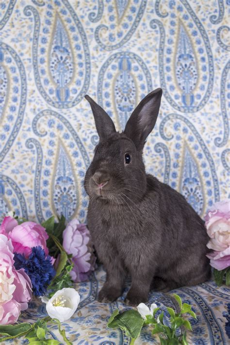 Nissha Medical Technologies Announces Charitable Sponsorship Program