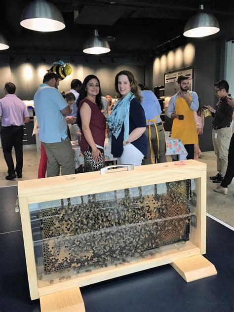 BIAS Corporation Office Photos | Glassdoor