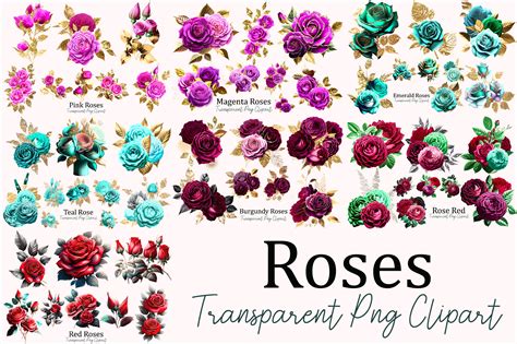 Image result for Sublimation Graphics