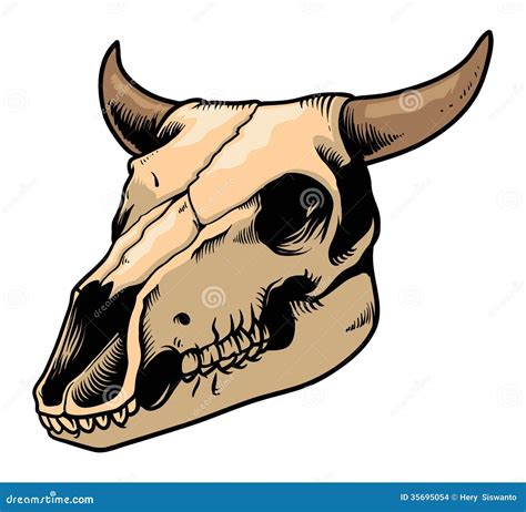 Cow skull stock vector. Illustration of skeleton, head - 35695054