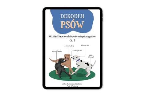 Image result for Best Dekoder