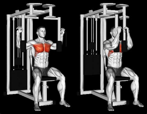 Machine Pec Deck Fly: Guide, Muscles Worked, Tips | Athlemove