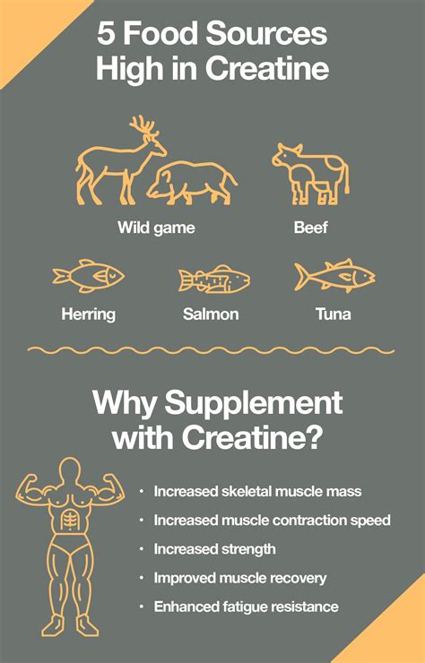Creatine: What It Is, What It Does and Best Way to Benefit – The Amino Company