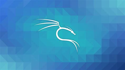 Kali Linux 壁纸