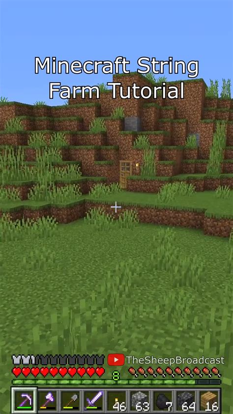 Image result for String Farm