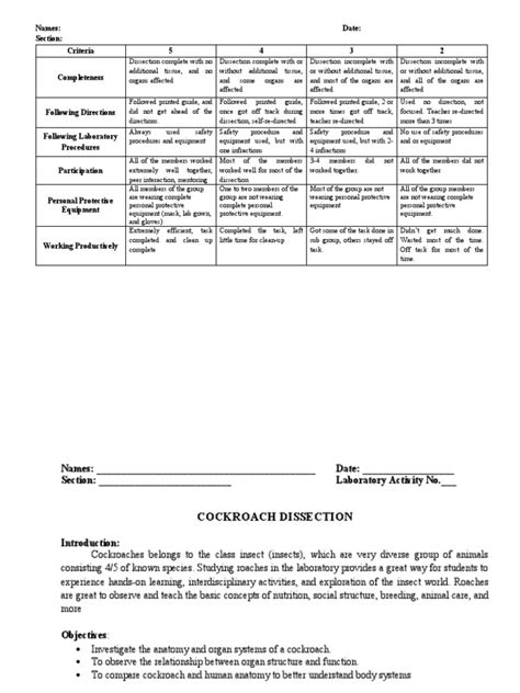 How to Dissect a Cockroach 的图像结果