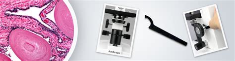 Image result for How to Use AmScope Microscope