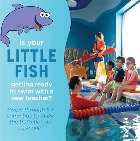 Goldfish - Garden City (@goldfish_gardencity) • Instagram photos and videos