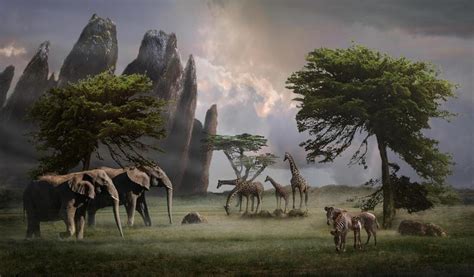 Image result for Living Creatures Humans