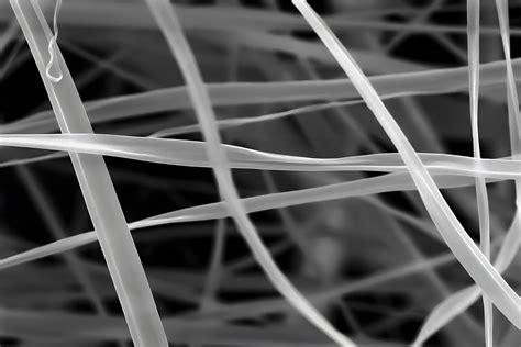 Nibertex Unveils Revolutionary PFAS, PFC-Free Waterproof Breathable ...