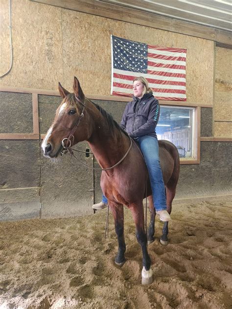 BESS · Copper Horse Crusade