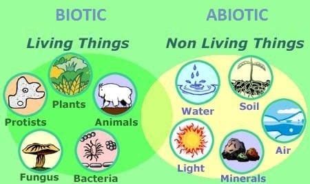 Ecosystem Introduction and Types - Biology Class 12 - NEET