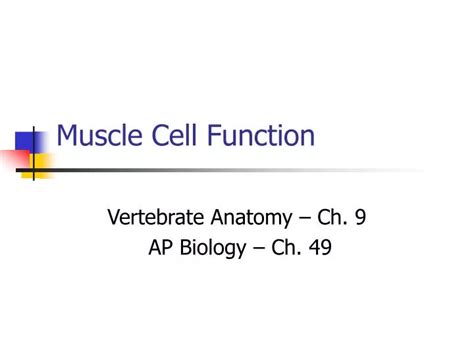 PPT - Muscle Cell Function PowerPoint Presentation, free download - ID:1778779