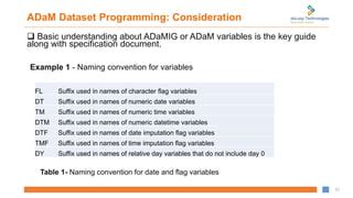 Image result for Adam Programming