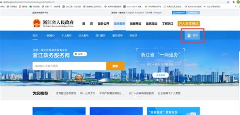 浙江政务服务网-流程图