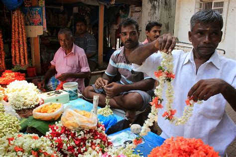 Matunga 的图像结果