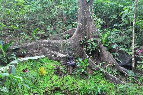 BALI RICA CASITAS (Ojochal) - Ranch Reviews & Photos - Tripadvisor