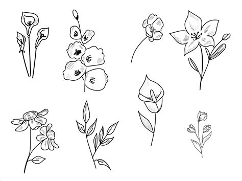 Dibujos a lapiz de flores a mano | Vector Premium