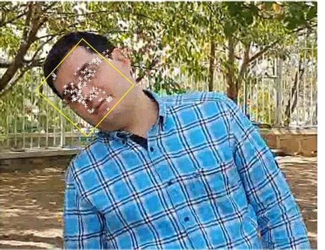 Image result for Face Tracking Filter