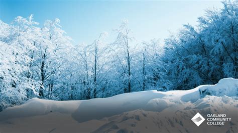 Community Transparent Background 的图像结果