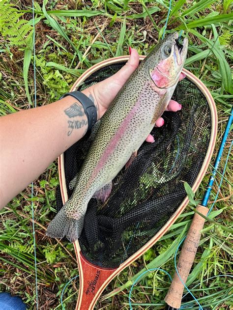 HIGHLAND RUN FLY FISHING ESTATE BY DREAM RESORTS (Lydenburg, Mpumalanga ...