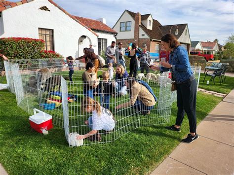 AZ Mobile Petting Zoo - Rent Farm Animals for Birthday Party