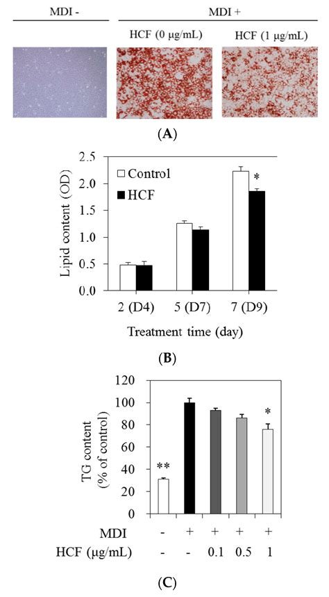 Chrysanthemum morifolium Flower Extract Inhibits Adipogenesis of 3T3-L1 ...
