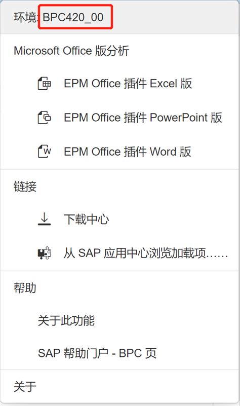SAP BPC 的图像结果
