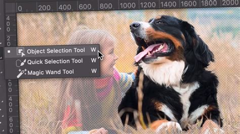 Photoshop Object Selection Tool 的图像结果