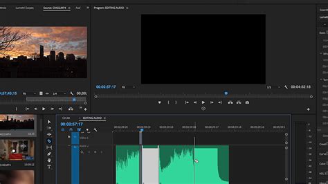 Image result for Wave.Path Audio Editing