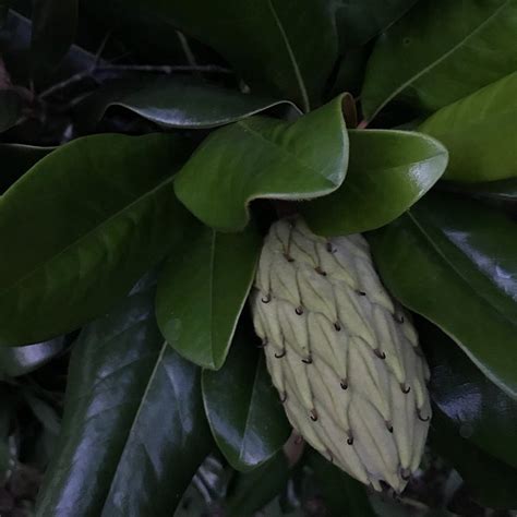 FROG HOLLOW CAMPGROUND AND RV PARK (Grenada) - Campground Reviews ...