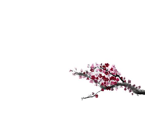 Acceptance is a Catalyst for Change (Quinn's Story) — The Principles of ...