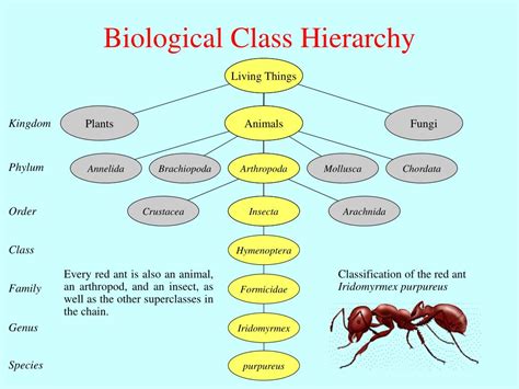 Java Simple Language 的图像结果