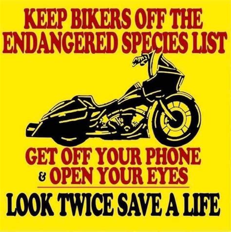 CAR SHOW, FOOD TRUCKS, DJ HUMP, VENDOR MARKET AND MORE , King Meadows ...