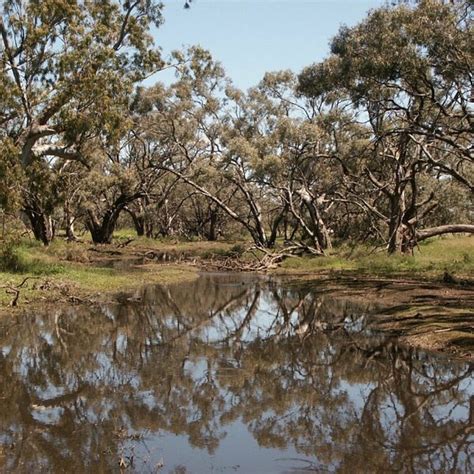 Donald Tourism (2023): Best of Donald, Australia - Tripadvisor