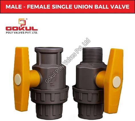 Single Union Pvc Ball Valve Manufacturer from Ahmedabad