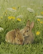 Image result for Easy Drawings of Baby Rabbits