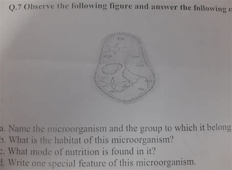 Q.7 Observe the following figure and answer the following questionsa ...