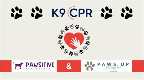 K9 CPR CLASS, PAWS UP pet supplies, Waukon, February 24 2024 | AllEvents.in
