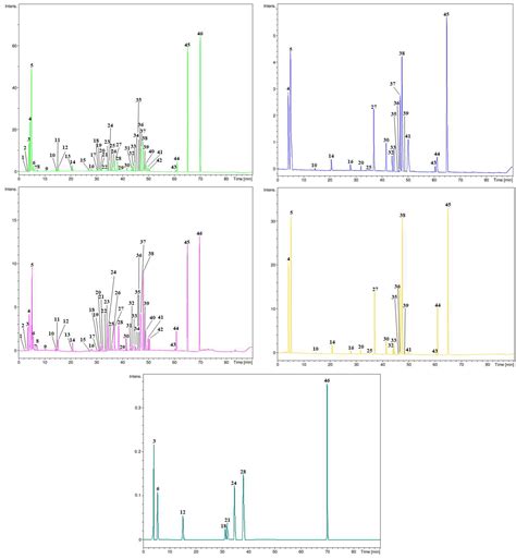 From Waste to Resource: Nutritional and Functional Potential of ...