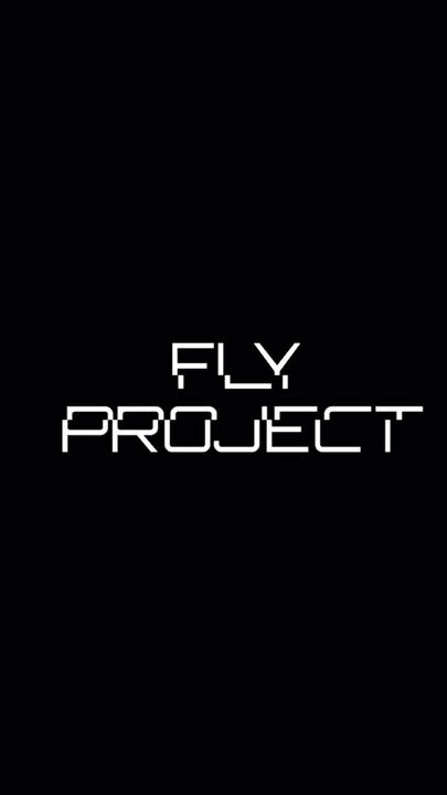 Image result for Tudor Fly Project