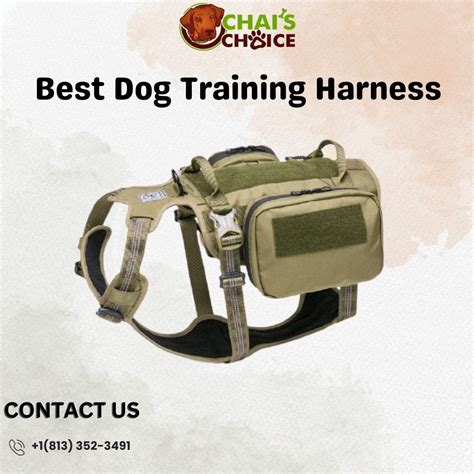 Dog Harness Outdoor - Chaischoice - Medium