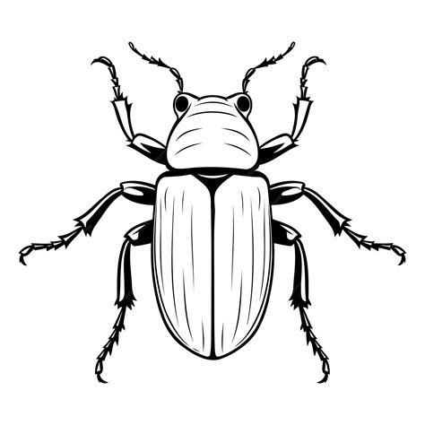 A detailed black and white illustration of a beetle perfect for adding ...